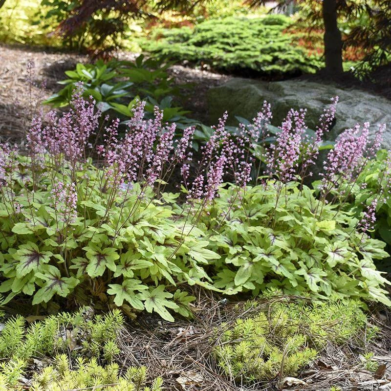 Fun And Games® 'Eye Spy' Foamy Bells - Image 2